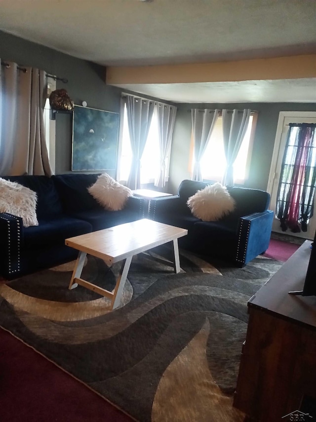 1390 E Wilcox Ave, White Cloud, MI 49349 - view of carpeted living area