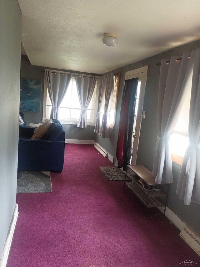 1390 E Wilcox Ave, White Cloud, MI 49349 - sitting room featuring carpet floors, a baseboard radiator, and baseboards