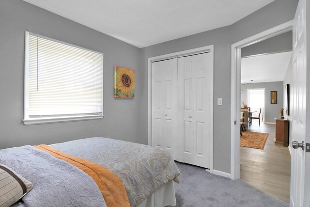 bedroom with baseboards and a closet
