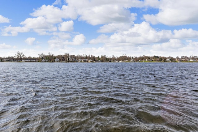 8033 S Portage Rd, Jackson, MI 49201 - water view