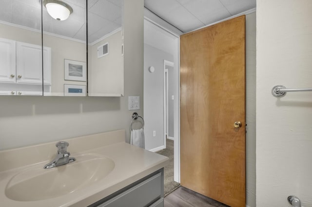 8033 S Portage Rd, Jackson, MI 49201 - bathroom with ornamental molding, vanity, and visible vents