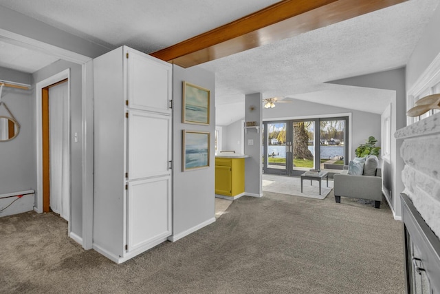 8033 S Portage Rd, Jackson, MI 49201 - bedroom featuring a textured ceiling, a water view, carpet, lofted ceiling, and a fireplace
