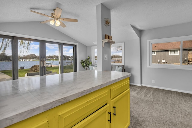 8033 S Portage Rd, Jackson, MI 49201 - kitchen with vaulted ceiling, a textured ceiling, a ceiling fan, and carpet