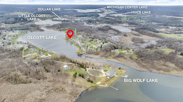 8033 S Portage Rd, Jackson, MI 49201 - aerial view with a water view