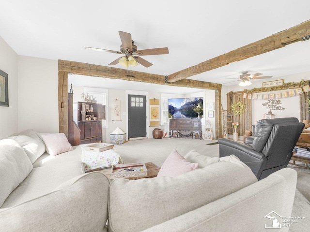 carpeted living room with beamed ceiling and a ceiling fan