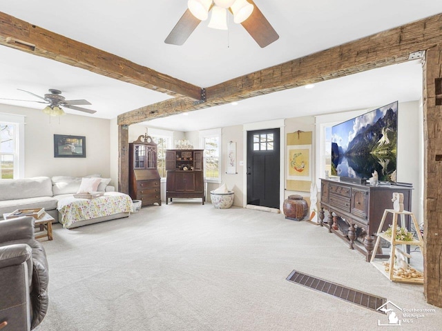carpeted living area featuring visible vents, a ceiling fan, and beamed ceiling