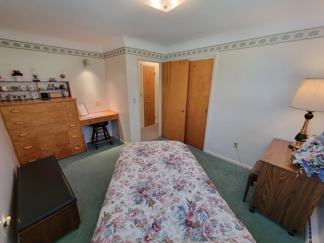 42 S Flower St, Croswell, MI 48422 - photo 10