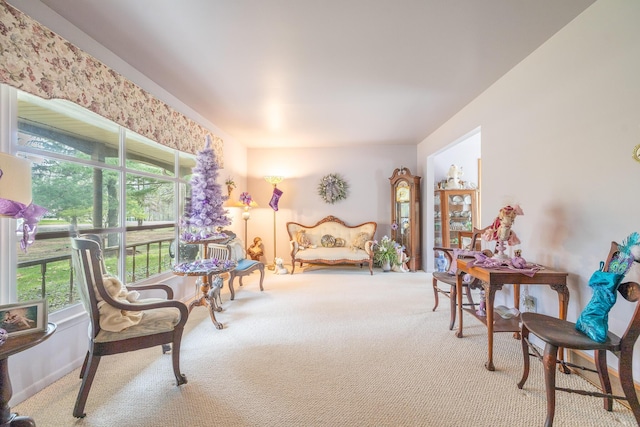 sitting room featuring carpet floors
