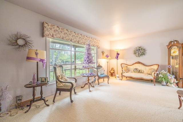 living area with carpet floors