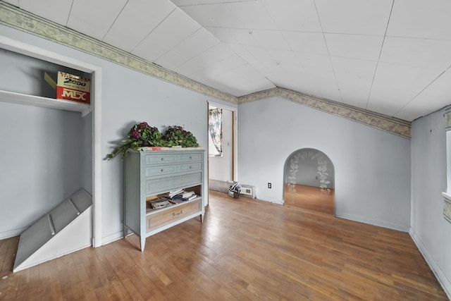 8825 Mills Rd, Manitou Beach, MI 49253 - bonus room featuring arched walkways and hardwood / wood-style floors