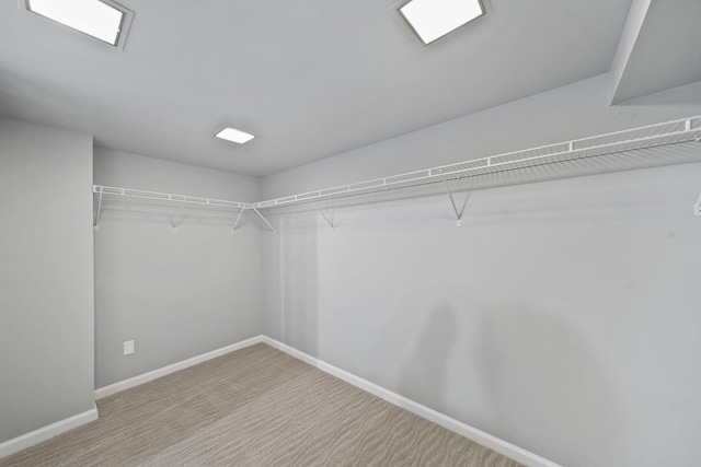 8825 Mills Rd, Manitou Beach, MI 49253 - walk in closet with light colored carpet