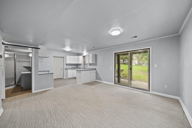 8825 Mills Rd, Manitou Beach, MI 49253 - unfurnished living room featuring baseboards and light colored carpet