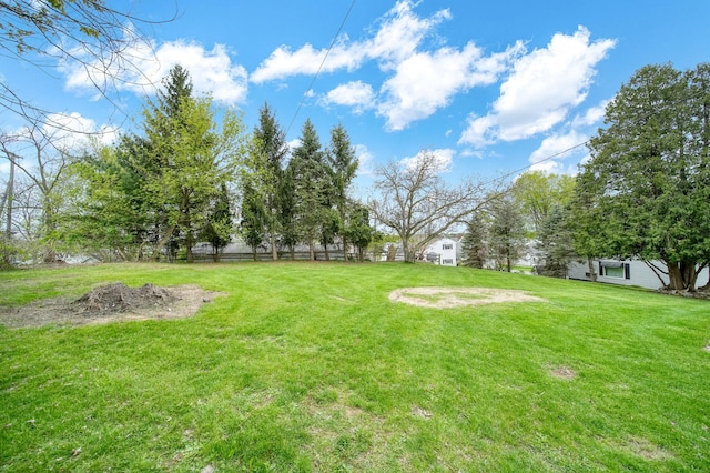 8825 Mills Rd, Manitou Beach, MI 49253 - view of green lawn