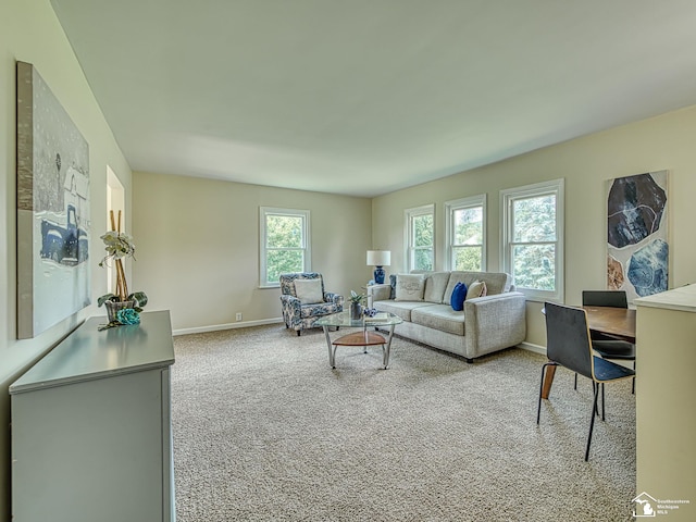 7329 Norfolk Dr, Onsted, MI 49265 - photo 3