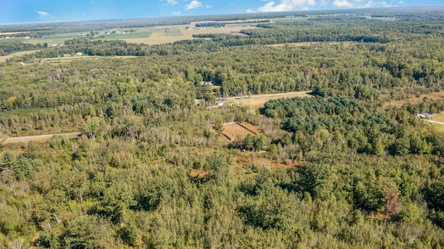 4345 W Mcnally Rd, Coleman, MI 48618 - birds eye view of property with a view of trees
