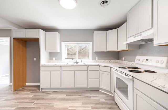 4345 W Mcnally Rd, Coleman, MI 48618 - kitchen featuring plenty of natural light, white electric range, under cabinet range hood, visible vents, and a sink