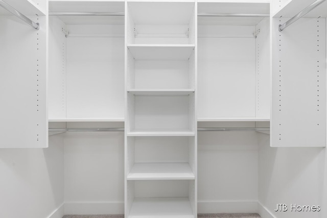 7571 Brook Villa Ct, Allendale, MI 49401 - view of spacious closet