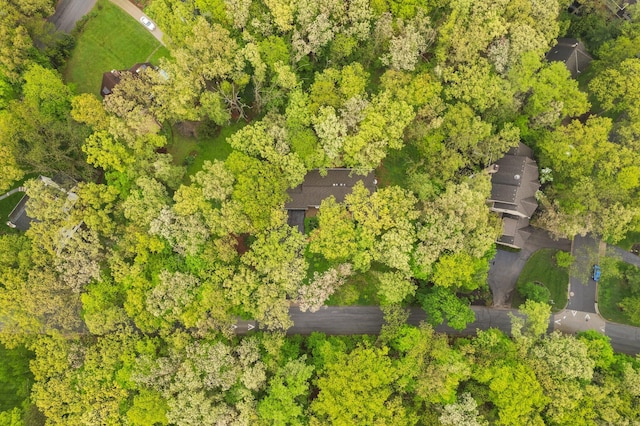 1657 Glenwood Rd, Ann Arbor, MI 48104 - view of property location