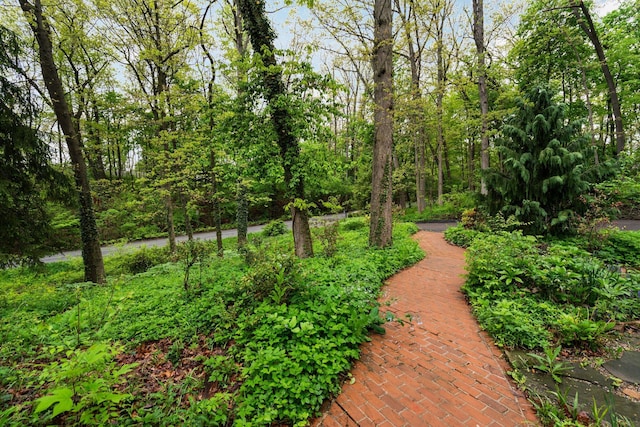 1657 Glenwood Rd, Ann Arbor, MI 48104 - view of community