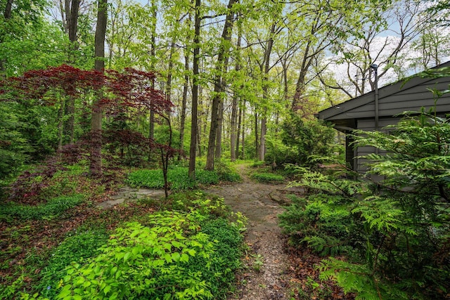 1657 Glenwood Rd, Ann Arbor, MI 48104 - view of yard featuring a view of trees