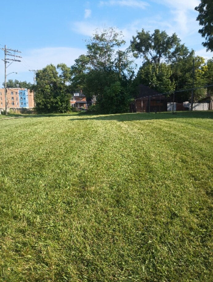 49 Collingwood St, Detroit, MI 48202 - photo 1