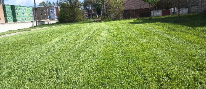 49 Collingwood St, Detroit, MI 48202 - photo 2