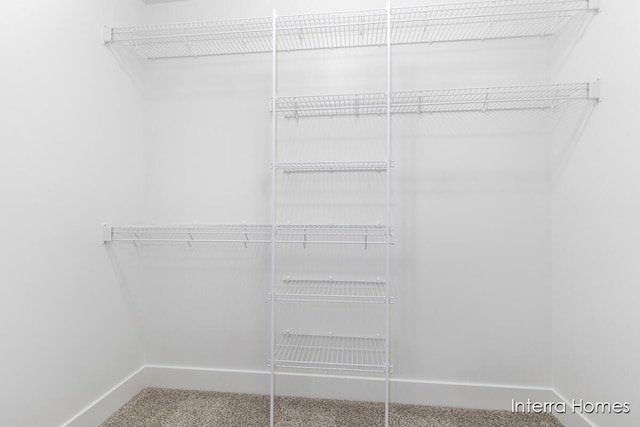 15748 Norwalk Rd, Grand Haven, MI 49417 - spacious closet with carpet