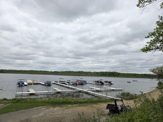 9465 Wabasis Pointe Dr NE, Greenville, MI 48838 - dock with a water view