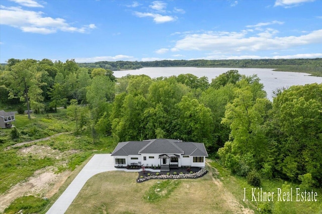 9465 Wabasis Pointe Dr NE, Greenville, MI 48838 - aerial view of property and surrounding area with a nearby body of water and a forest