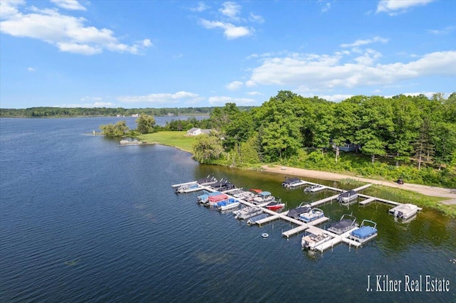 9465 Wabasis Pointe Dr NE, Greenville, MI 48838 - water view with a floating dock