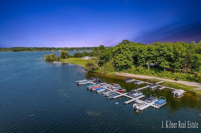9465 Wabasis Pointe Dr NE, Greenville, MI 48838 - water view with a floating dock