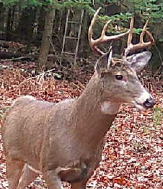 000 NE Old M-66, Kalkaska, MI 49646