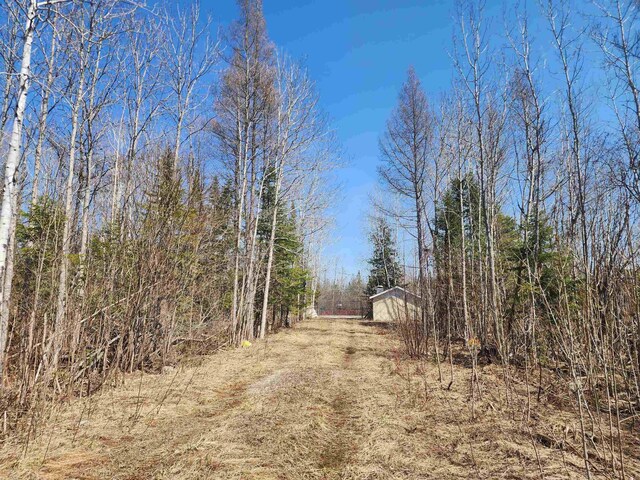 000 NE Old M-66, Kalkaska, MI 49646