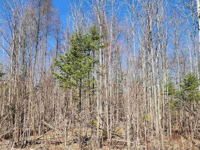 000 NE Old M-66, Kalkaska, MI 49646