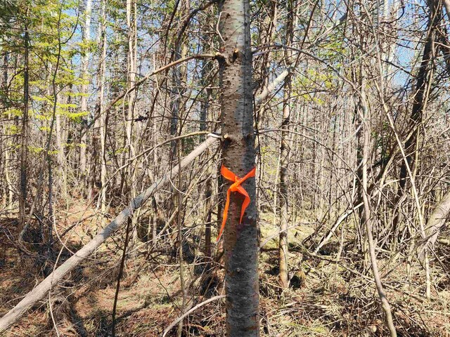 000 NE Old M-66, Kalkaska, MI 49646