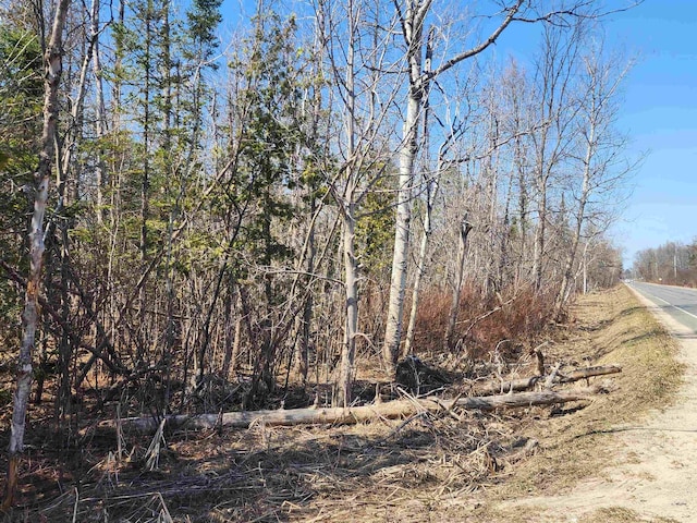 000 NE Old M-66, Kalkaska, MI 49646