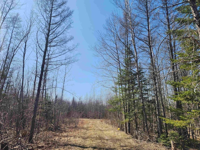 000 NE Old M-66, Kalkaska, MI 49646