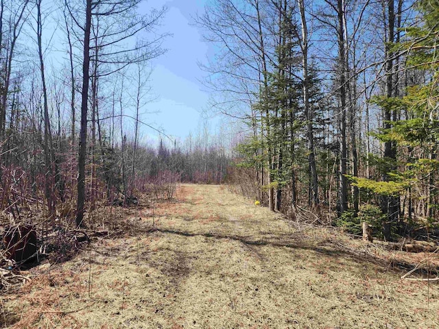 000 NE Old M-66, Kalkaska, MI 49646