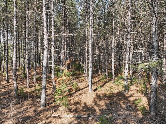 7020 NW Round Lake Rd, Rapid City, MI 49676
