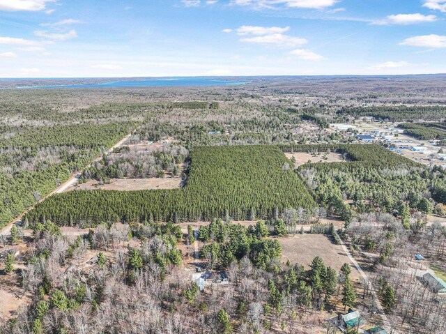 7020 NW Round Lake Rd, Rapid City, MI 49676