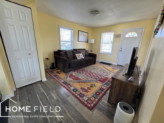 living area with dark wood finished floors, a wealth of natural light, and baseboards