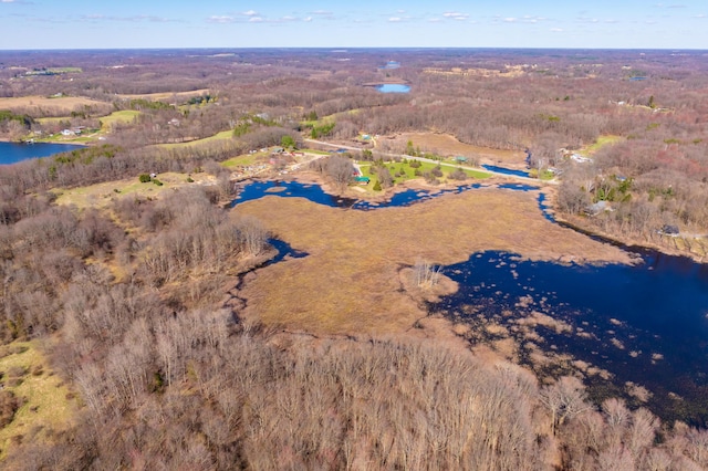 bird's eye view with a wooded view and a water view