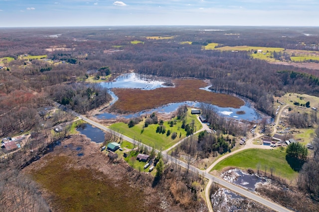 bird's eye view featuring a view of trees and a water view