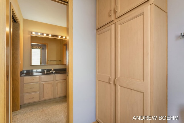 332 Royal Park Dr, Zeeland, MI 49464 - bathroom featuring vanity