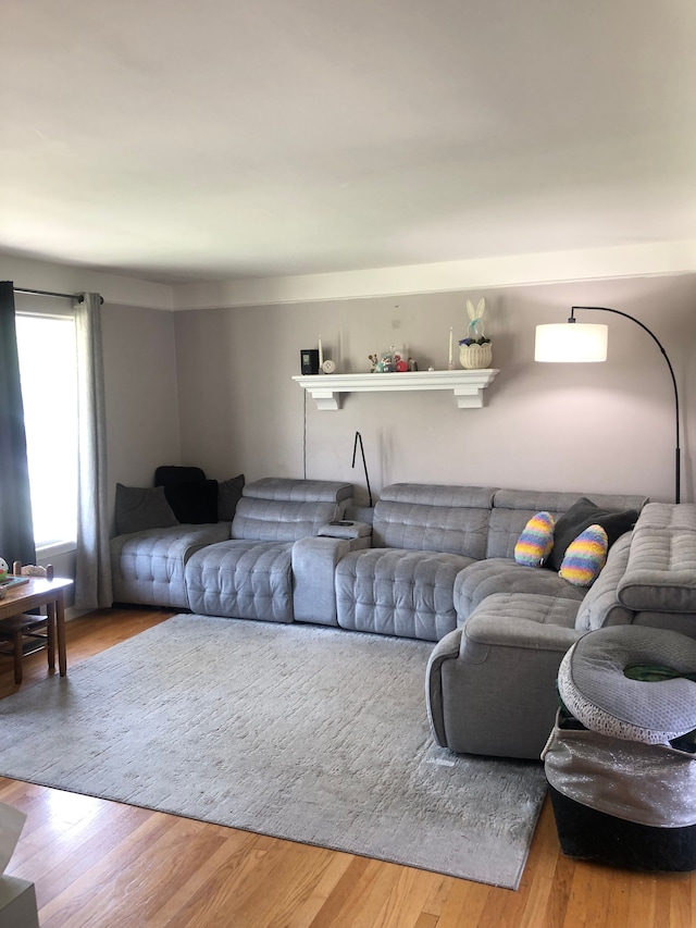 living area with wood finished floors