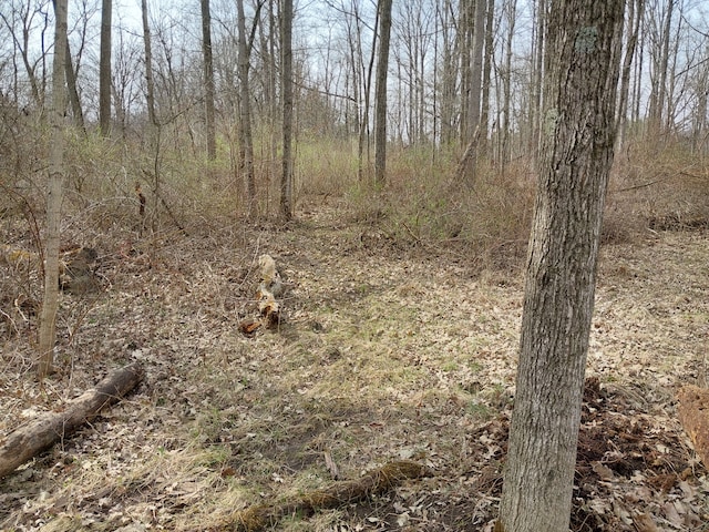 00 Rattle Run, Saint Clair, MI 48079