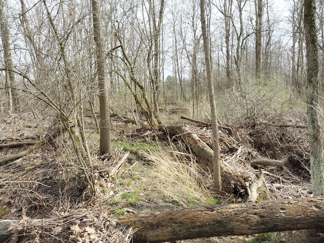 00 Rattle Run, Saint Clair, MI 48079