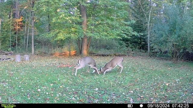00 Rattle Run, Saint Clair, MI 48079