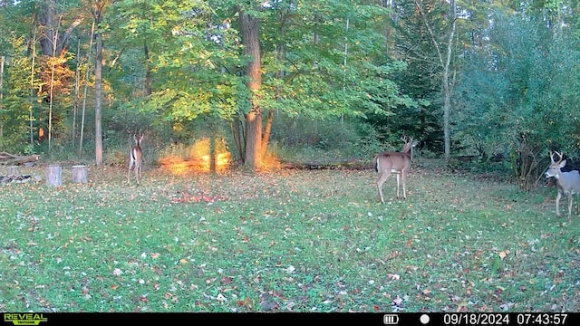 00 Rattle Run, Saint Clair, MI 48079