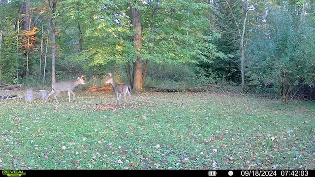 00 Rattle Run, Saint Clair, MI 48079